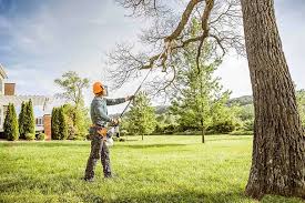 Best Hedge Trimming  in Home Garden, CA