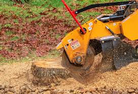 Professional Tree Removal in Home Garden, CA