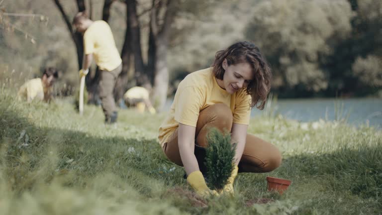 Best Tree and Shrub Care  in Home Garden, CA